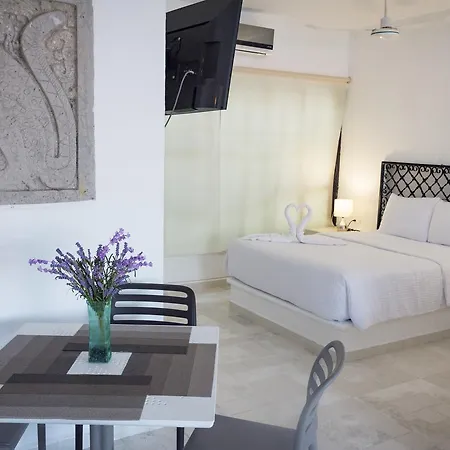 Apart Hotel Tortuga