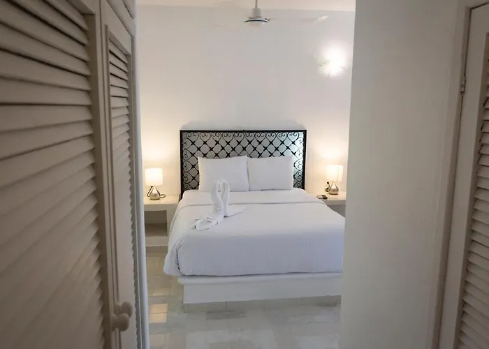 Tortuga Playa del Carmen