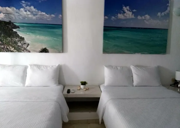 Tortuga Playa del Carmen